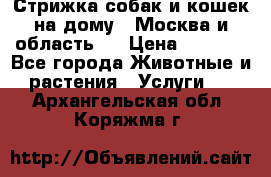 Стрижка собак и кошек на дому.  Москва и область.  › Цена ­ 1 200 - Все города Животные и растения » Услуги   . Архангельская обл.,Коряжма г.